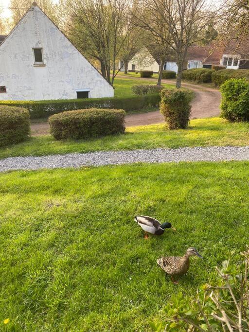 Appartamento Le Nid Du Cygne Houlle Esterno foto